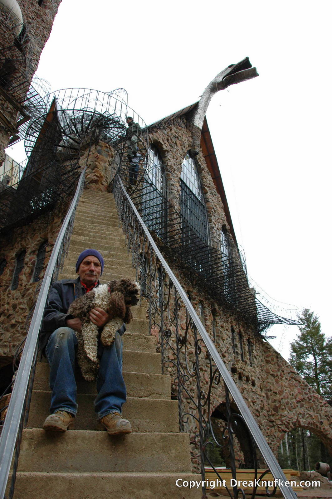 dog stairs